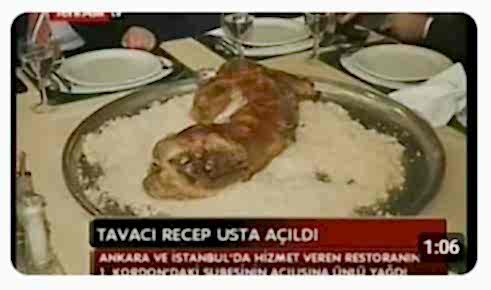 Yeni Asır TV Haber Aylin Mısırlı